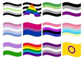 LGBT Pride flag set. Pride community flag. vector