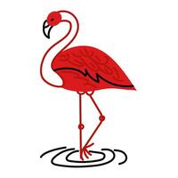 Flamingo red doodle is flat. Cute flamingo isolated on a white background. A tropical exotic bird is an animal standing on one leg. Flat vector illustration in the form of doodles