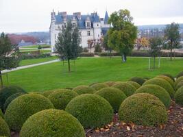 a large green lawn photo