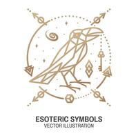 Esoteric symbols. Vector. Thin line geometric badge. Outline icon for alchemy or sacred geometry. Mystic and magic design with crow and galaxy vector