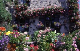 a house with flowers on the side of it photo