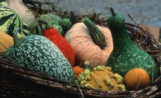 a basket filled with different types of gourds photo