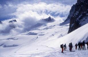 a group of people on skis photo