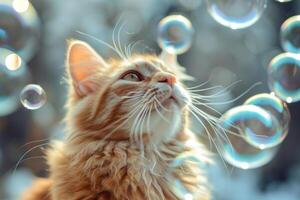 AI generated Cat surrounded by soap bubbles. Kitten playing with soap bubbles. Generative AI photo