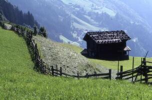 a wooden fence photo