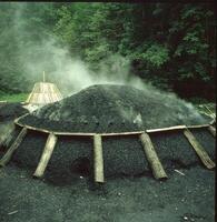 a pile of charcoal is sitting in the middle of a forest photo