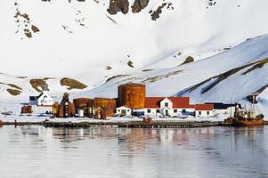 Grytviken, South Georgia, 2019 - Former Grytviken whaling station, King Edward Cove, South Georgia, South Georgia and the Sandwich Islands, Antarctica photo