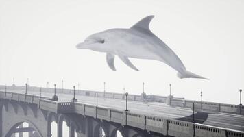 A large white dolphin is flying over a bridge video