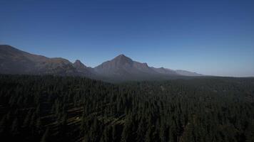 een antenne visie van een Woud met bergen in de achtergrond video