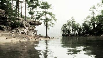 A body of water surrounded by trees and rocks video