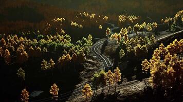 An aerial view of a winding road surrounded by trees video