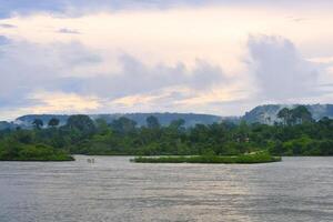 Flooded forest along the Trombetas river, Para state, Brazil photo