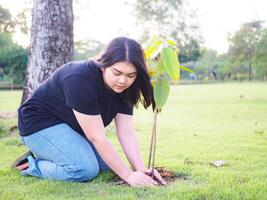 retrato jardinero joven mujer niña asiático grasa gordito linda hermosa uno persona mirando mano participación plantando arboles verde hojas en jardín parque noche luz de sol Fresco sonriente contento relajarse verano día foto