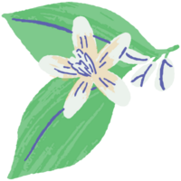 AI generated a flower with leaves and a green stem png