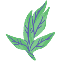 ai gegenereerd een groen blad met Purper en blauw bladeren png