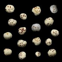 Organic Indian makhane puffed lotus seed or Fox nuts isolated over black background. photo