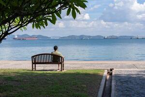 Rear View of Man Sitting on Bench Looking at Ocean in Summer photo