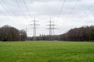 arge electricity pylons on meadow photo