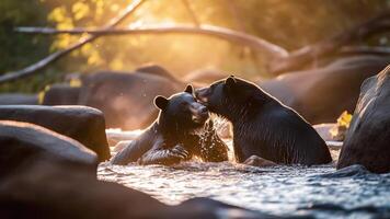 ai generado cloupe de negro oso jugando en el agua. fauna silvestre escena desde naturaleza. foto