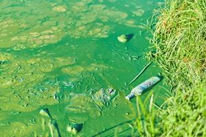 Environmental water pollution photo