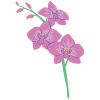 ai gerado orquídea grampo arte png