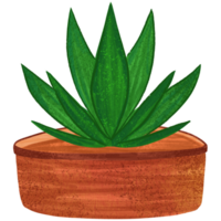 ai generado planta en un maceta clipart png