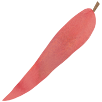 AI generated a red pepper on a transparent background png