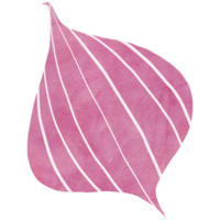 ai generado un rosado cebolla hoja en un transparente antecedentes png