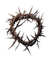 AI generated Close Up of a Crown of Thorns on the Transparent Background Created With Generative AI Technology png