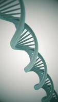 Vertical video - science motion background animation with rotating DNA double helix strands. This genetics concept background is full HD and a seamless loop.