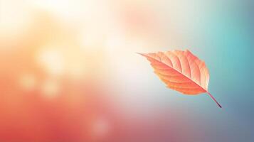 AI generated Single autumn leaf gently fall against vivid colorful minimalistic backdrop, copy space photo