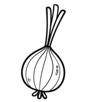 Outline doodle drawing of Onion png