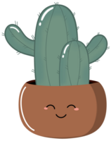 Cactus in a pot png