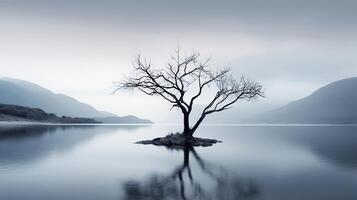 ai generado solitario árbol en medio de desolado lago crea melancólico atmósfera evocando sentido de aislamiento foto