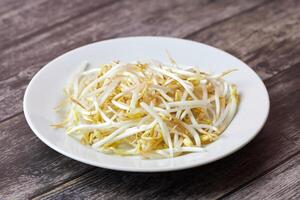 Mung bean sprouts in plate. Raw organic healthy food. Traditional vegetable dish in east Asia. photo