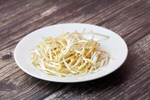 Mung bean sprouts in plate. Raw organic healthy food. Traditional vegetable dish in east Asia. photo