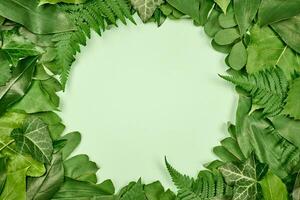 Green leaves circle frame with white empty copy space in center, flat lay top view photo