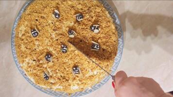 Woman cuts piece of decorated cake, top view. video