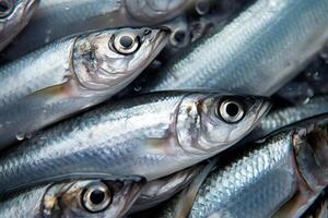 AI generated Fresh herring close-up, background photo