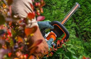 Man Shaping Hedge Using Cordless Electric Trimmer photo