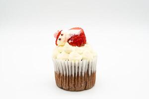 Cupcake isolated on white background. photo