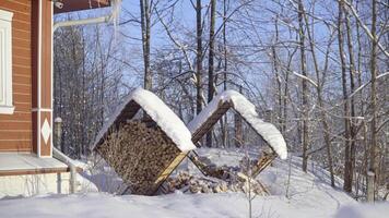 bois de chauffage est empilés dans le cour. bois de chauffage couvert avec neige video