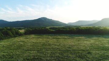 aérien vue de magnifique vert Prairie avec des arbres, pays route et montagnes dans le Contexte dans été contre bleu nuageux ciel. tir. pittoresque été paysage video