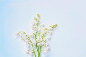 flowers lily of the valley on a light background. photo