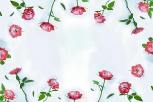 rosa de flores de colores brillantes. fondo floral foto