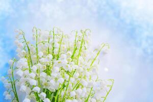 Blurred floral natural background. Soft focus. Spring landscape. flowers lily of the valley photo