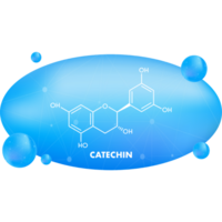 Catechin formula. Icon with green catechin formula. png