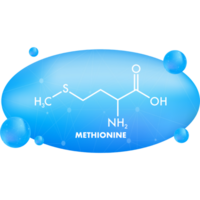 Icon with methionine formula. Amino acid molecule. png