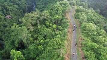 Bali, Indonésia, 2023 - aéreo Campuhan cume andar ubud bali - exuberante, cênico conhecido para Está caminhada trilhas e varrendo morro Visualizações video