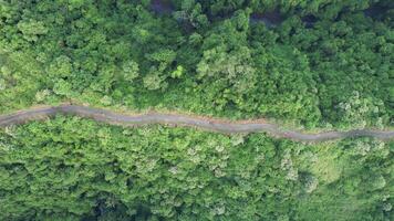 aéreo Campuhan cume andar ubud bali - exuberante, cênico conhecido para Está caminhada trilhas e varrendo morro Visualizações video